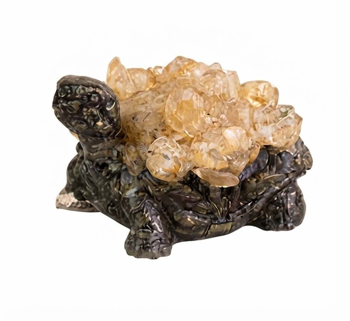 Dhan Labh Tortoise