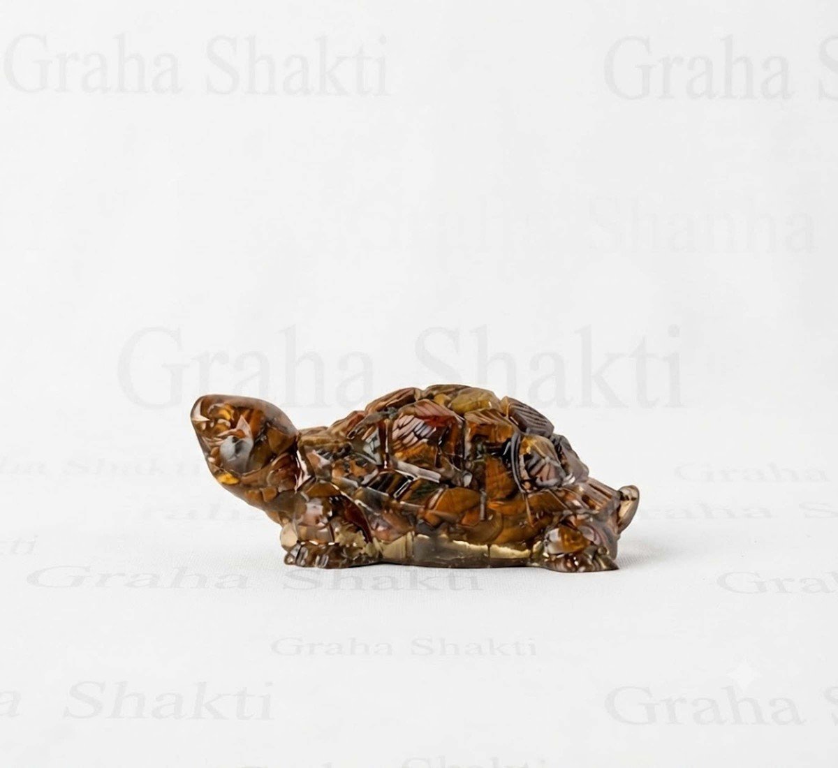 Vastu Tiger Eye Tortoise