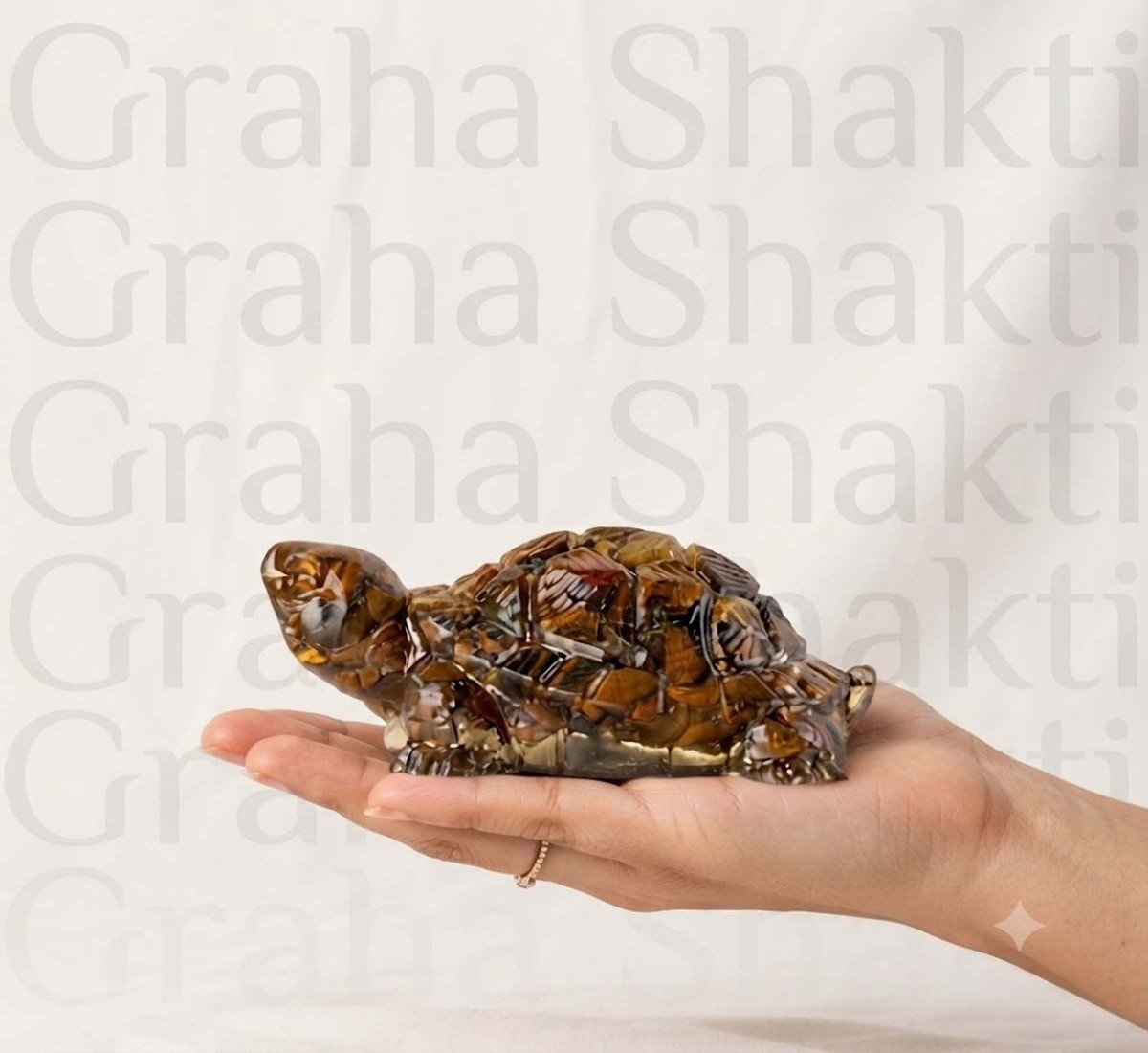 Vastu Tiger Eye Tortoise