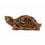 Vastu Tiger Eye Tortoise