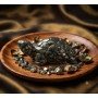 Vastu Pyrite Tortoise