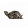 Vastu Pyrite Tortoise