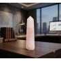 Love Attraction Tower